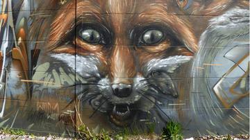 Graffiti (Fuchs)